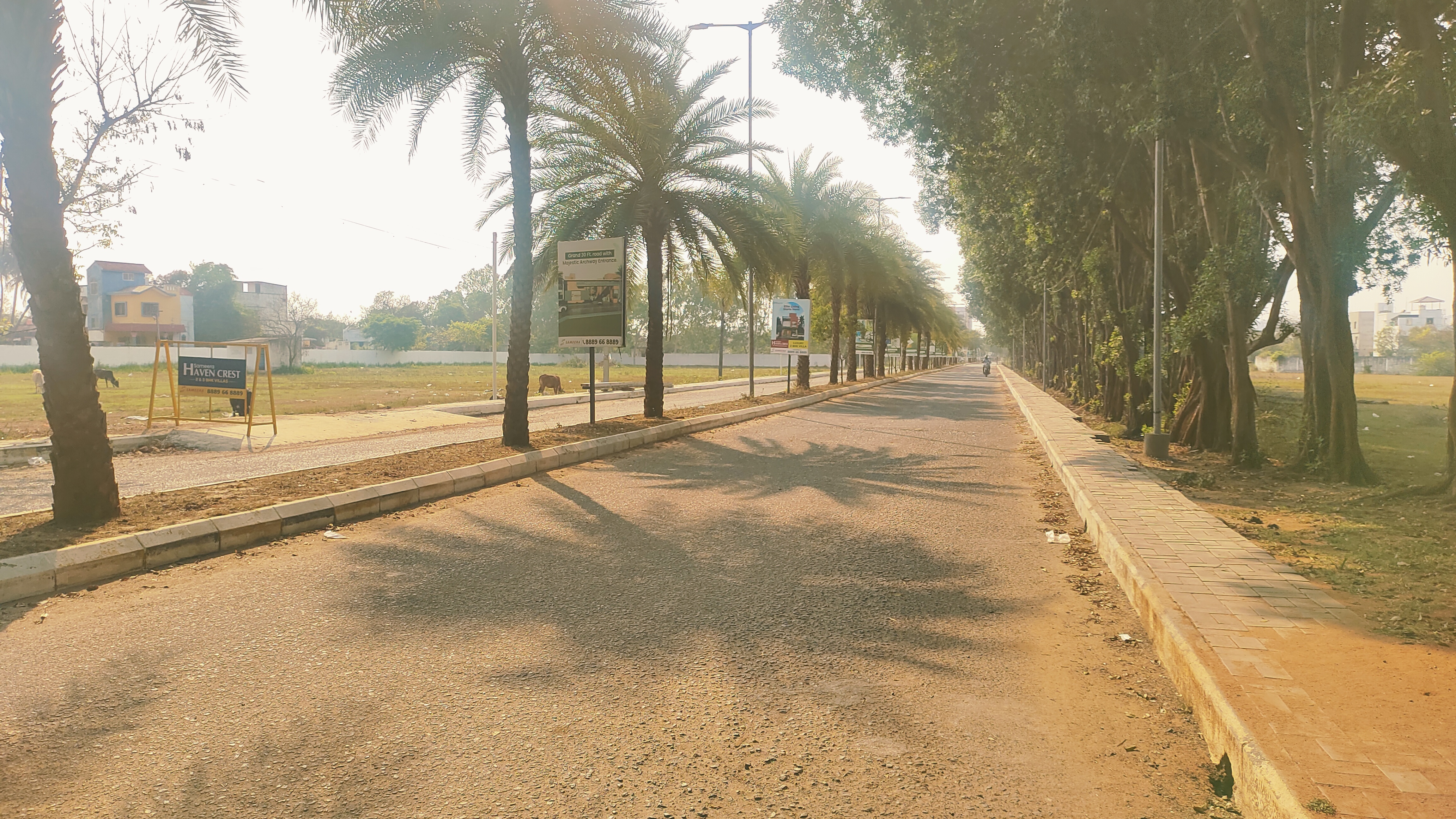 Residential Land – 3